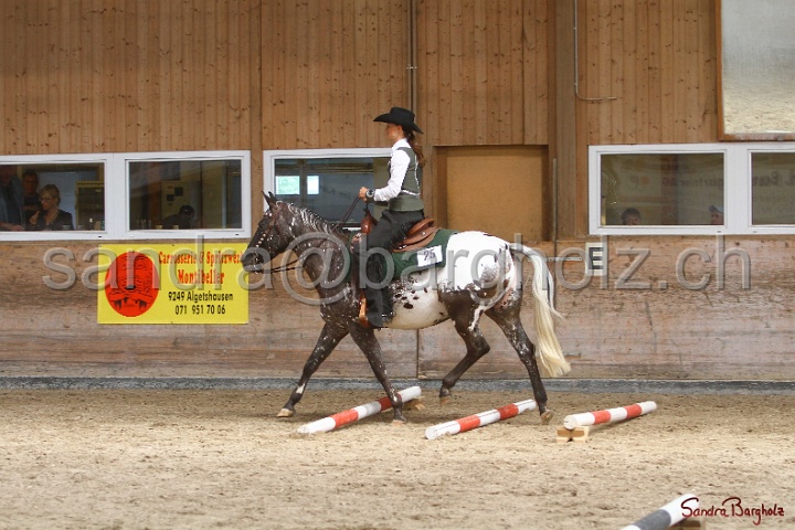 28-ApHC OT_004.jpg